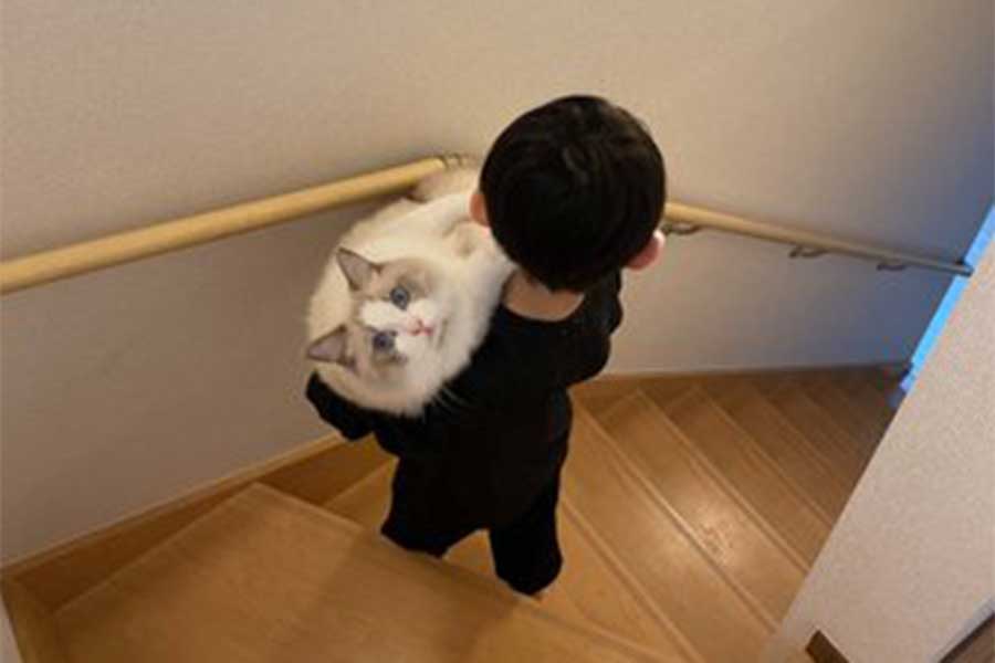 階段を降りる3年前のルカくんと息子さん【写真提供：LUCA ラグドール（@LUCA_10_24）さん】