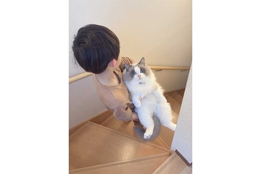 現在のルカくんと息子さん【写真提供：LUCA ラグドール（@LUCA_10_24）さん】