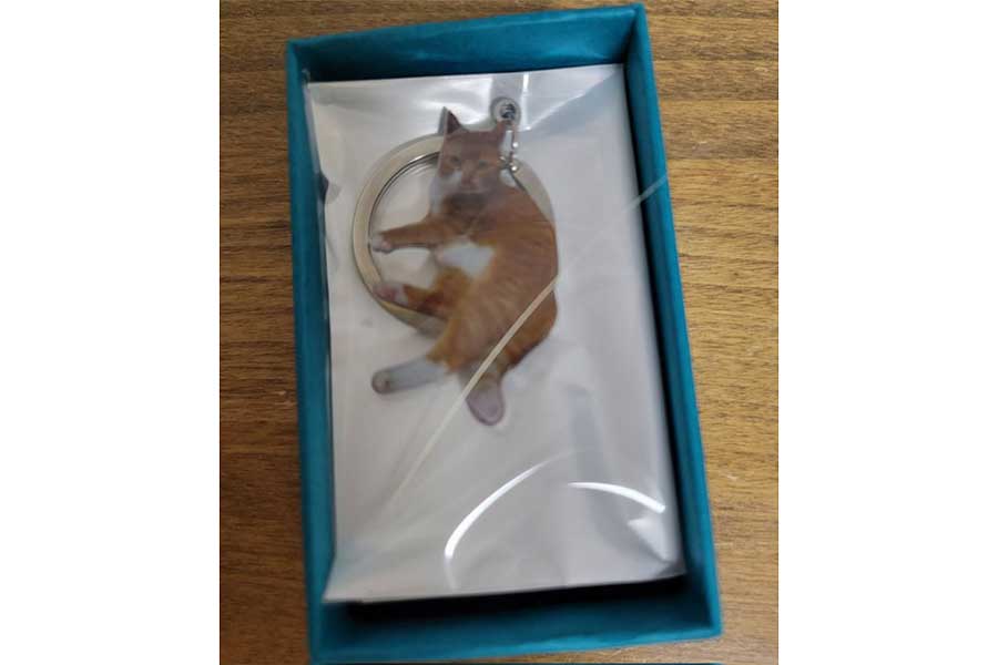 キーホルダーと一緒に入れられたメイちゃんのヒゲ【写真提供：ろしあん・ぶるー（@eozddz7nO9JIHDr）さん】