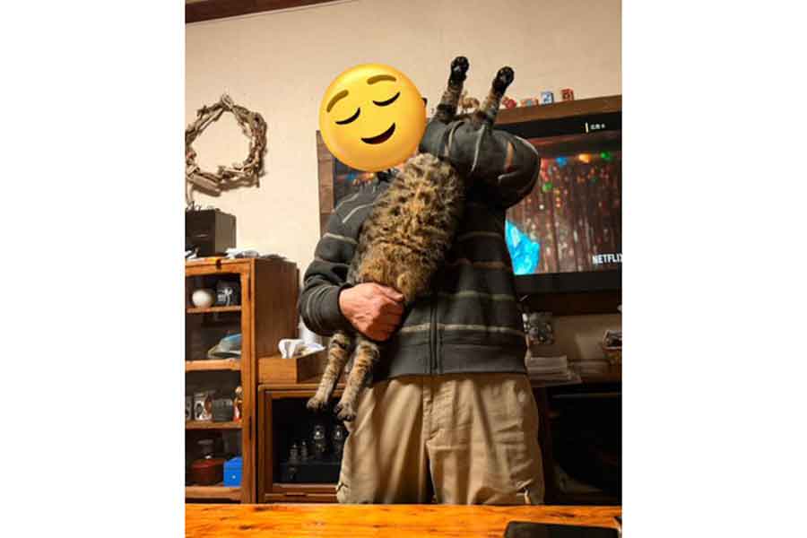 “確保”されてまっすぐに伸びるあんこちゃん【写真提供：えすきち（@flowertoman）さん】