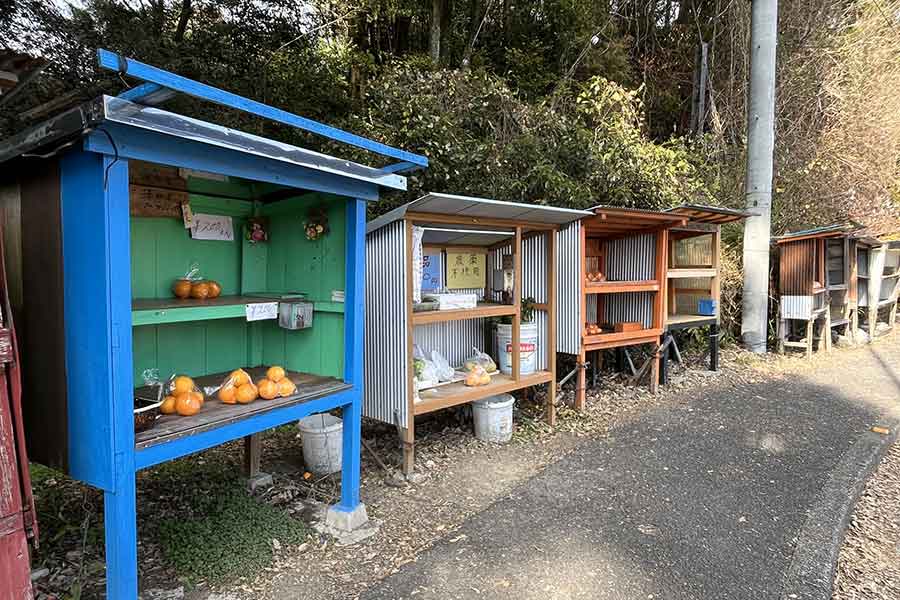とれたての新鮮な野菜や果物が買える無人販売所(写真はイメージ)【写真:写真AC】