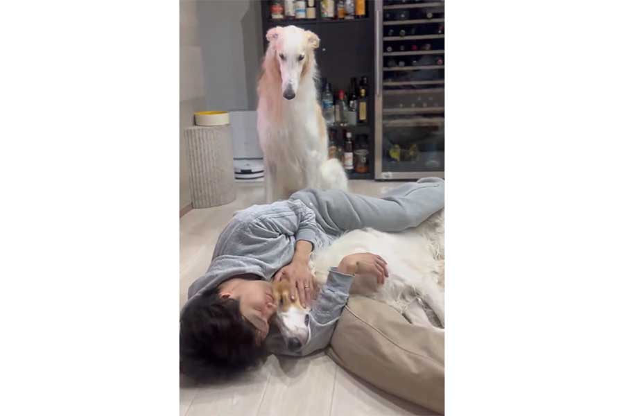 “無言の圧”をかけるベルくん【出典：X（@velzoi）よりスクリーンショット】