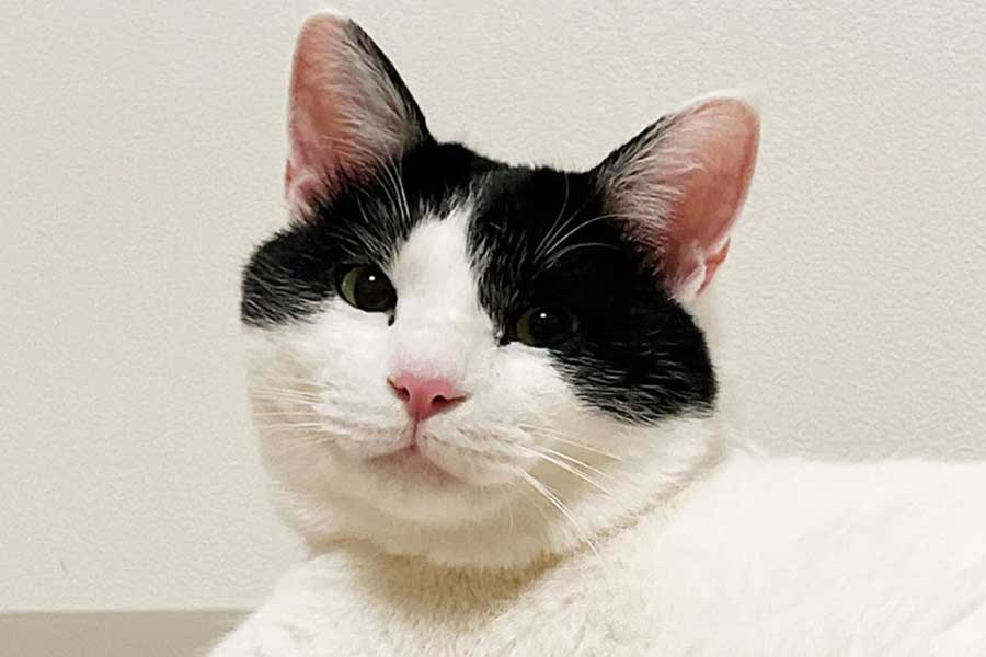 優しいまなざしを向けるそすぴくん【写真提供：とあるヲタク（ryeryery8）さん】