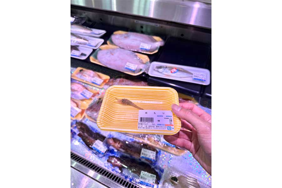 スーパーの鮮魚コーナーに並んでいたキホウボウ【写真提供：かとたく（@katotaku.1011）さん】