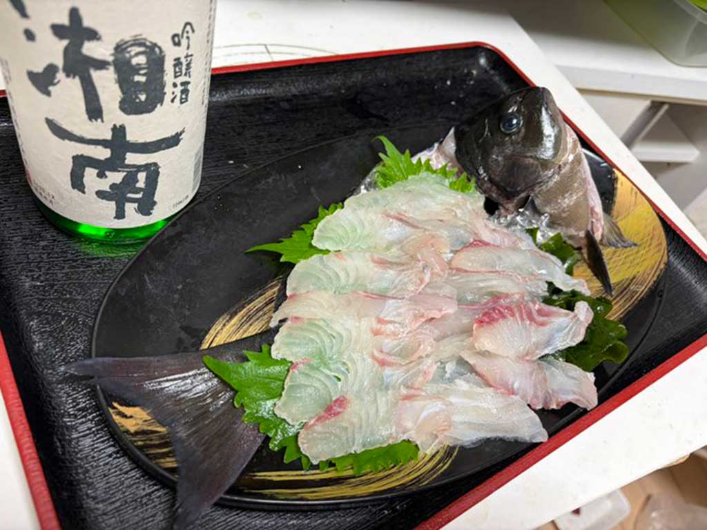 熱海・初島で釣ったメジナのお造り【写真提供：投稿者さん】
