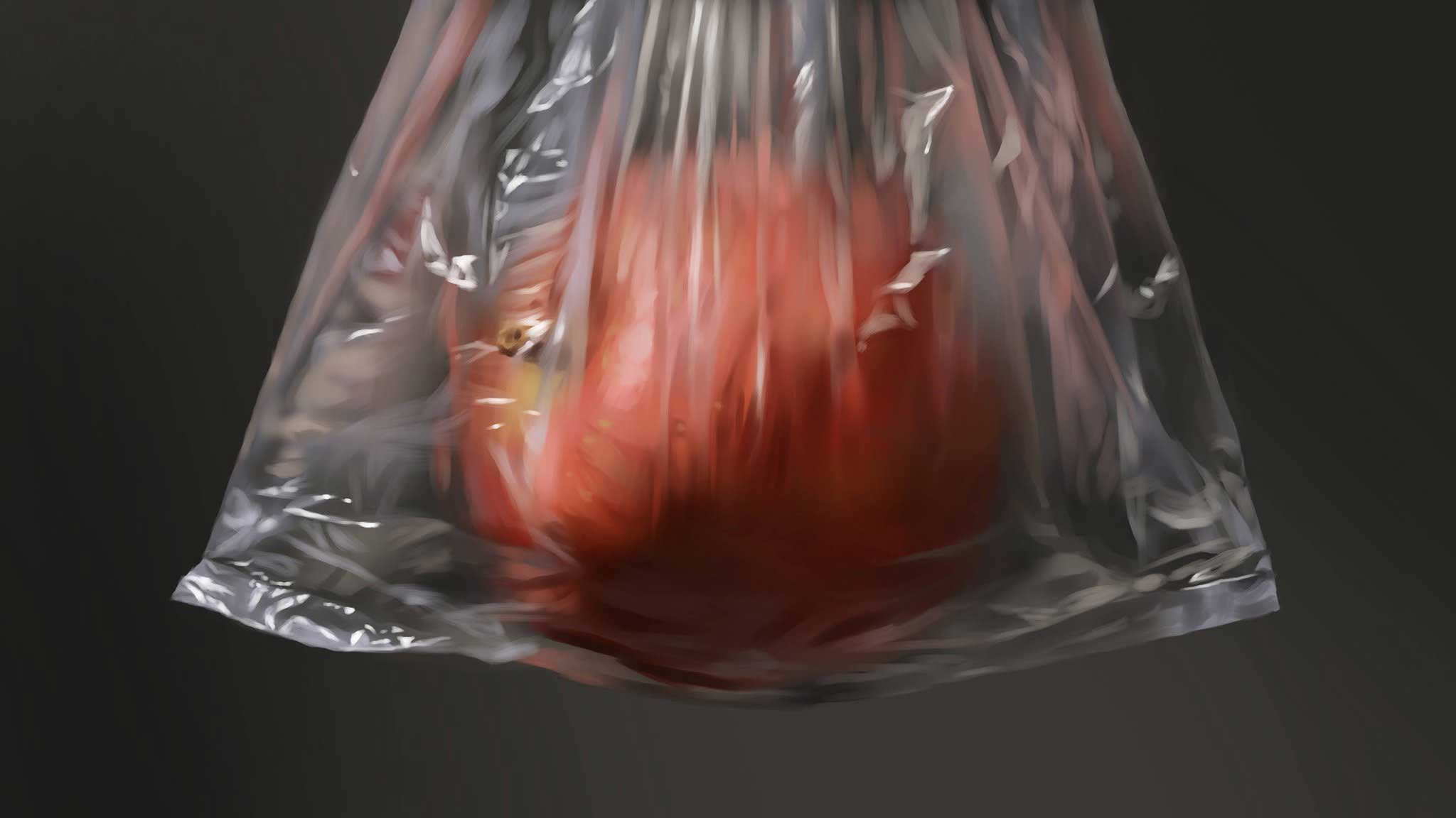 ポリ袋に入ったリンゴの作品。本物と見間違えそう【写真提供:Naoya Ohtani(@aka_nuc)さん】