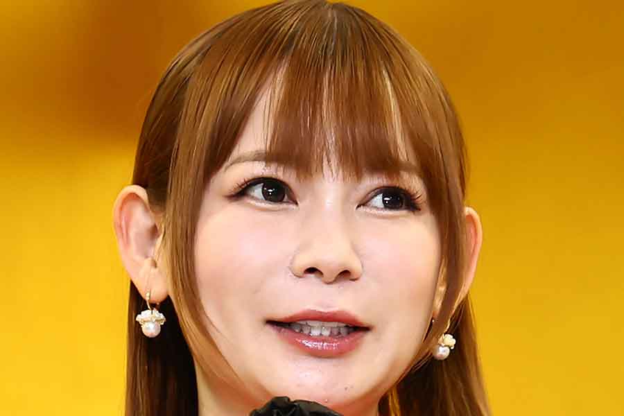 タレントの中川翔子さん【写真：産経ビジュアル】