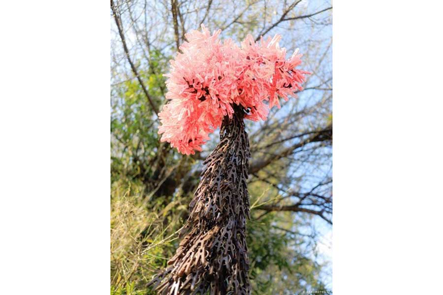 洗濯バサミで作られた満開の桜【写真提供:岡本なう(@okaphotoart)さん】