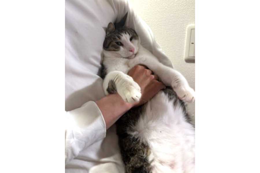 配偶者さんに抱かれて嫌がっているように見える涼介くん【写真提供：キムチ母（@fukuroupiyopiyo）さん】