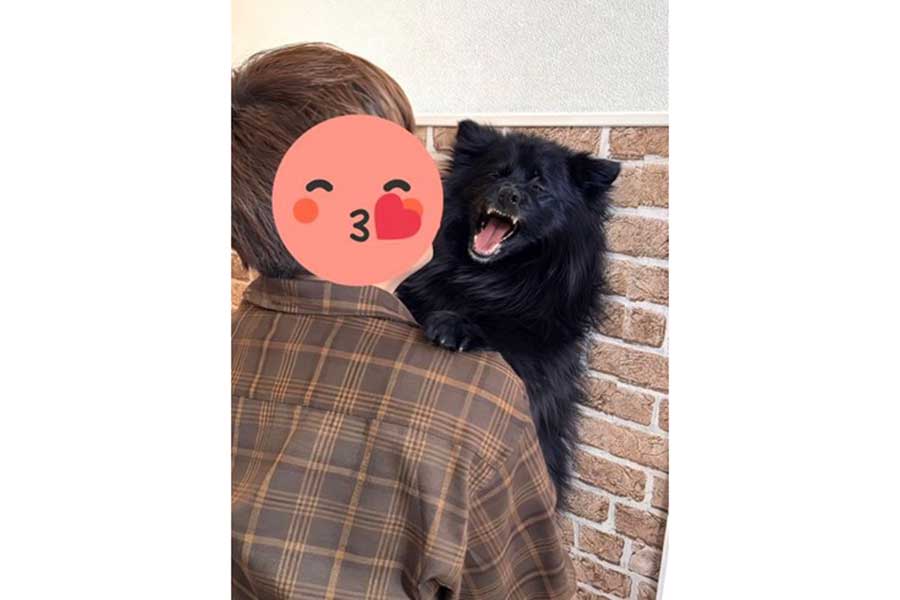 口を大きく開けた愛嬌たっぷりのノアくん【写真提供:ちょーかっこいーぬさん(@noah_blackfox)】