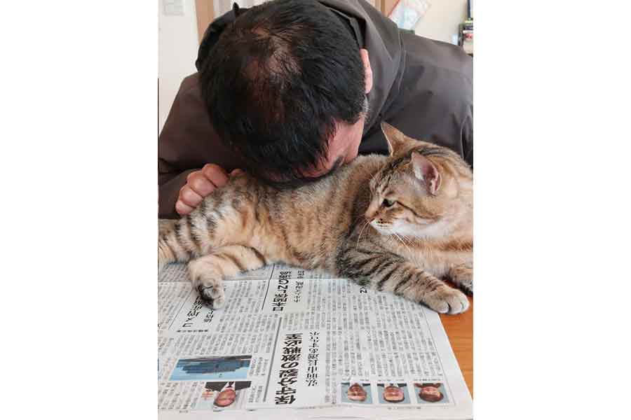 配偶者さんに“ねこ吸い”されるキィちゃん【写真提供:hotako(@hotako5)さん】