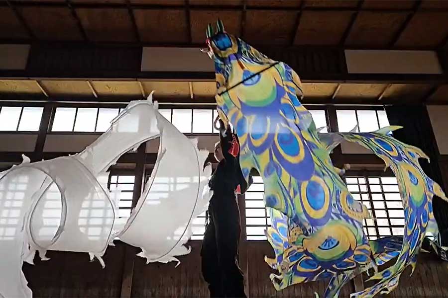 クジャク模様と白の龍を操るhomaさん【写真提供：homa（@homabelly）さん】