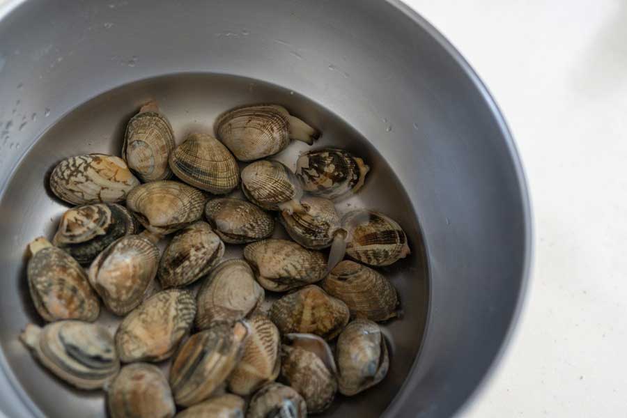 貝は呼吸するので、食塩水の量はたっぷりにしない。水面から少し顔が出せる程度が適量（写真はイメージ）【写真：写真AC】