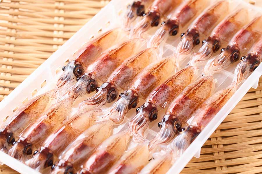 生のホタルイカ（写真はイメージ）【写真：PIXTA】