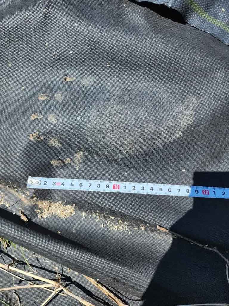 【写真提供：投稿者】