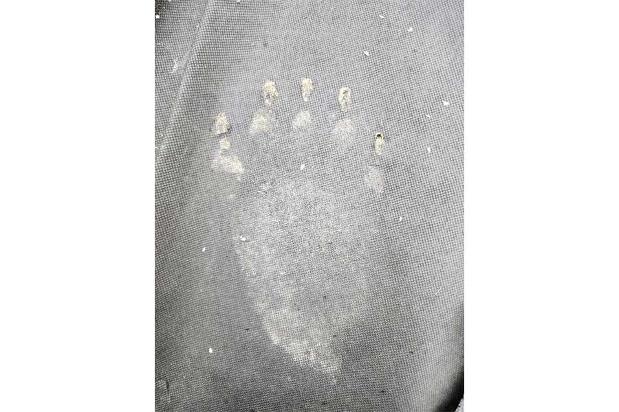 庭の防草シートの上に残されたクマの足跡【写真提供:投稿者】