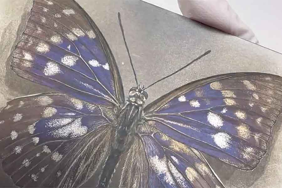 鉄錆で描かれた蝶の作品【出典：X（@YASUKA_Martwork）よりスクリーンショット】