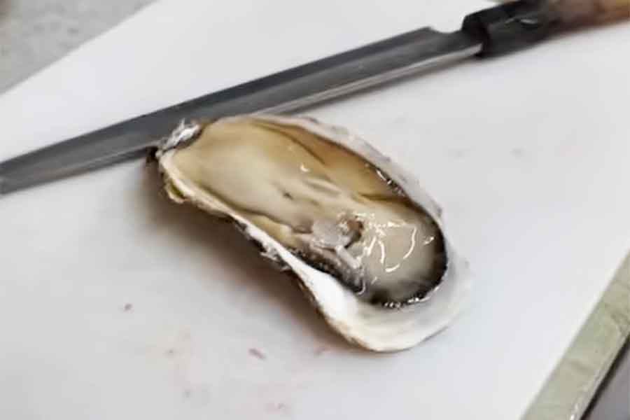 日本のおいしいカキを食べて大感激【出典：YouTube「Bebechan - 日本のフランス人」よりスクリーンショット】