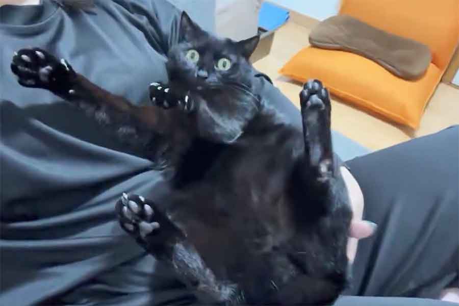 “けりけり”前の“虚無顔”のあさりちゃん【出典：X（@kuro_asari5bee）さんよりスクリーンショット】