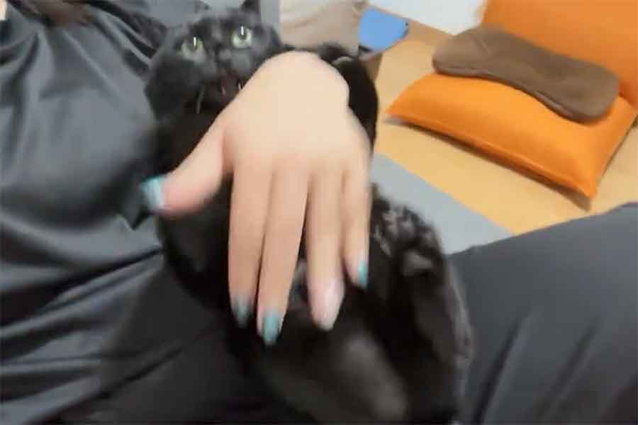 “高速けりけり”を披露するあさりちゃん【出典：X（@kuro_asari5bee）さんよりスクリーンショット】