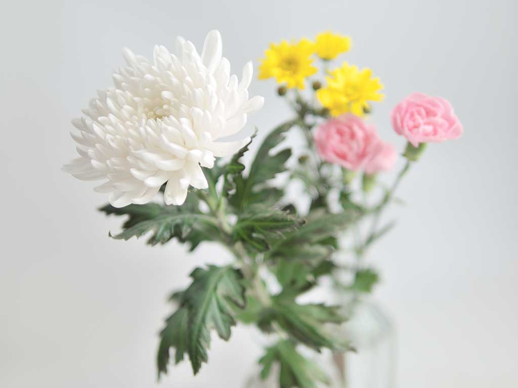 仏花を買ってプレゼント（写真はイメージ）【写真：PIXTA】