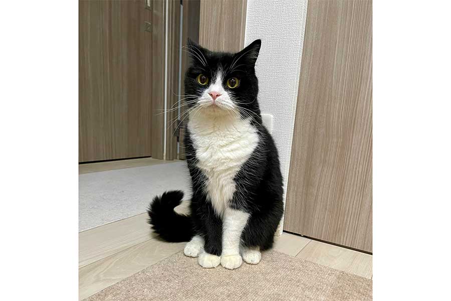 ちょこんと座るたろうくん【写真提供：たろう（@taro20216）さん】