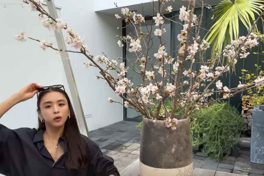 自宅の庭で花見を楽しむ滝沢眞規子さん【出典：YouTube「TAKIMAKI Channel」よりスクリーンショット】