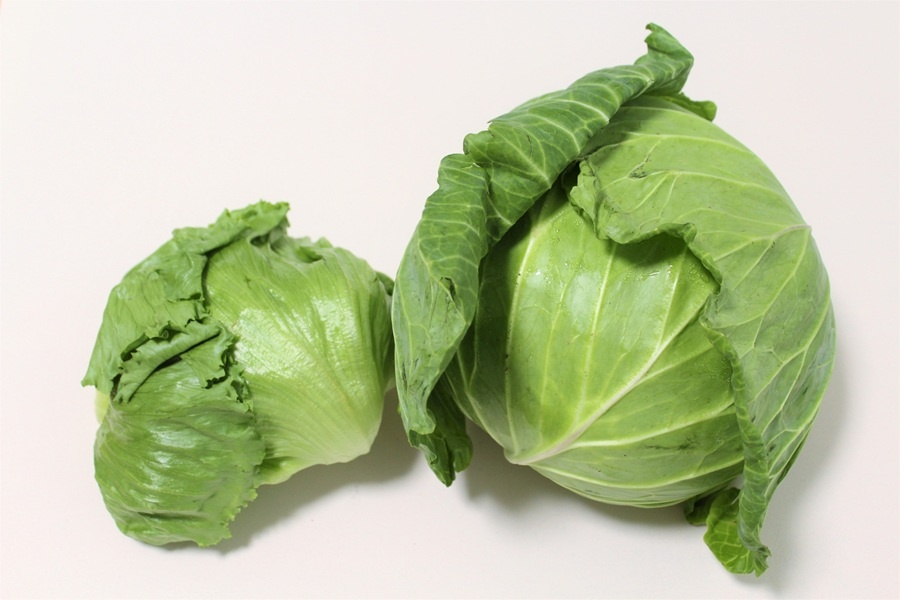 みずみずしいレタス（左）とキャベツ（写真はイメージ）【写真：写真AC】