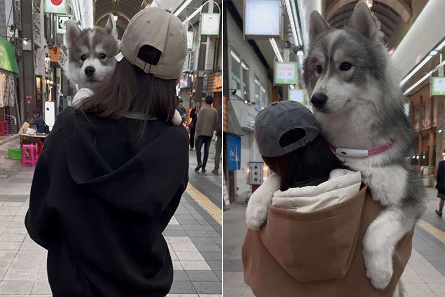 生後2か月当時と1歳になった現在の比較【写真提供：SKI&POW（@snowski1008）さん】