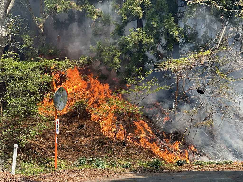 延焼が続く大槌町の山林火災【写真：産経新聞社】