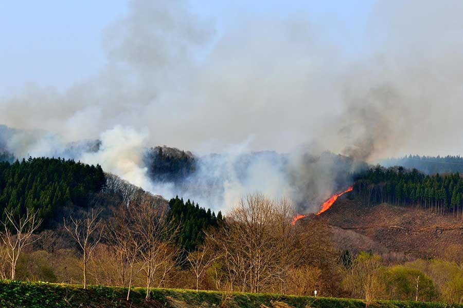 各地で林野火災が相次いでいる（写真はイメージ）【写真：PIXTA】