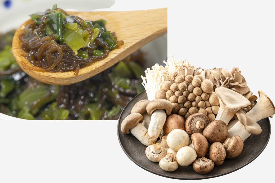 海藻類やキノコ類など食物繊維を含む食品（写真はイメージ）【写真：写真ACよりHint-Pot編集部作成】