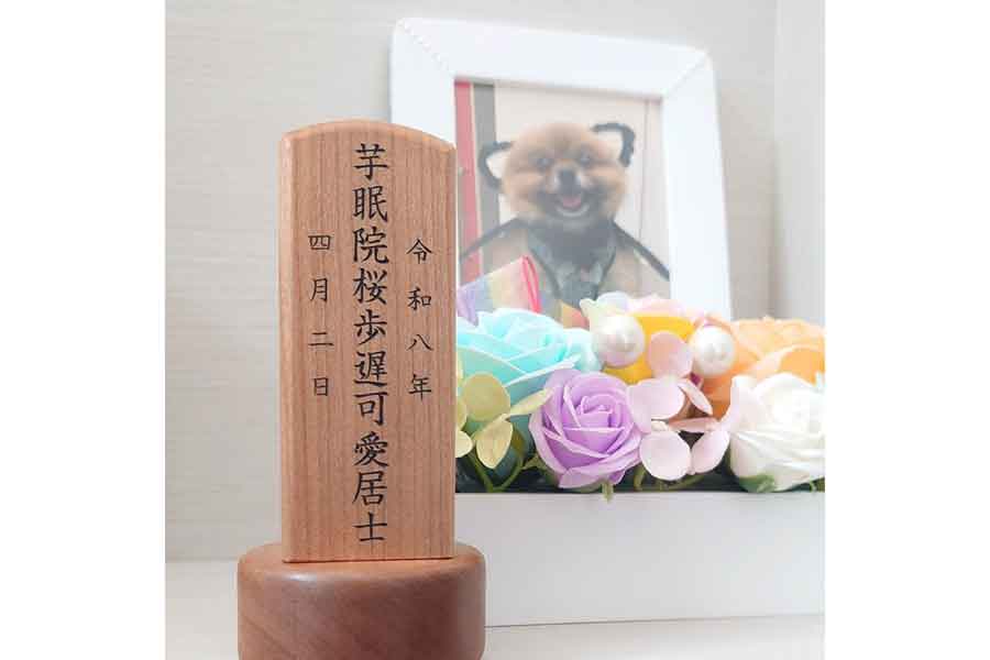 「芋眠院桜歩遅可愛居士」の戒名が与えられたポチくん【写真提供：ぴよりん（@harepiyopiyo）さん】