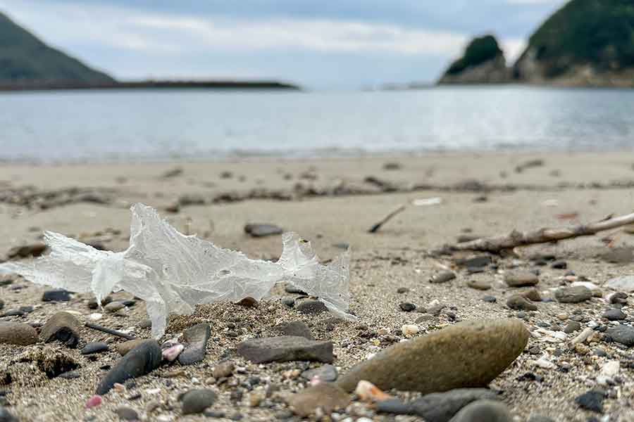 海岸に溜まるゴミ（写真はイメージ）【写真：PIXTA】