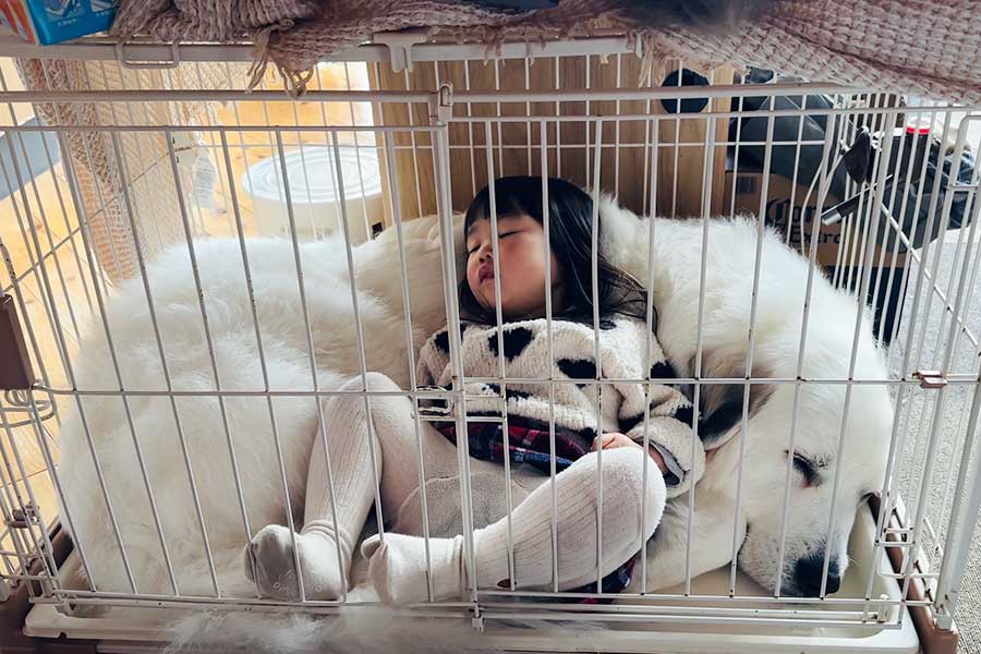 “秘密基地”で仲良く眠るシュシュちゃんと娘さん【写真提供：山の奥から（@yamanookukara）さん】