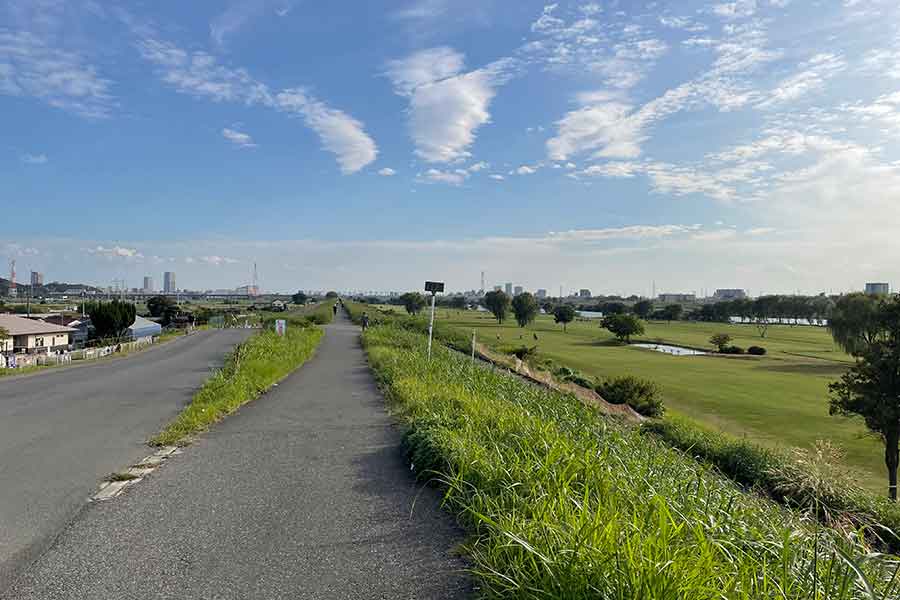 河川敷でなにげなく目にした花に、意外な秘密が隠れていることも(写真はイメージ)【写真:写真AC】