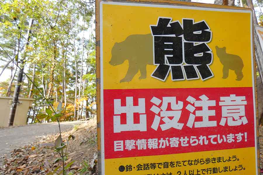 クマ被害や目撃情報が各地で相次いでいる(写真はイメージ)【写真:写真AC】