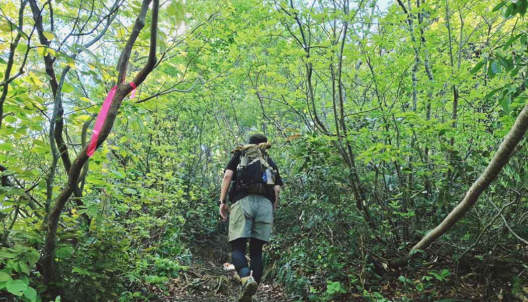 山登りでは、一歩間違えると命を落とす可能性も（写真はイメージ）【写真：写真AC】
