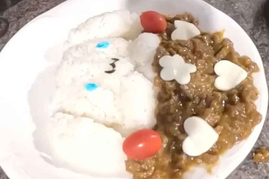 リクエストした「日本のカレー」に大満足【出典：YouTube「Macaron Chan 南フランス田舎娘」よりスクリーンショット】