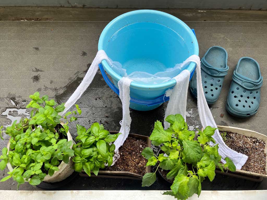 試行錯誤の末に完成した毛細管現象給水システム【写真提供：投稿者】