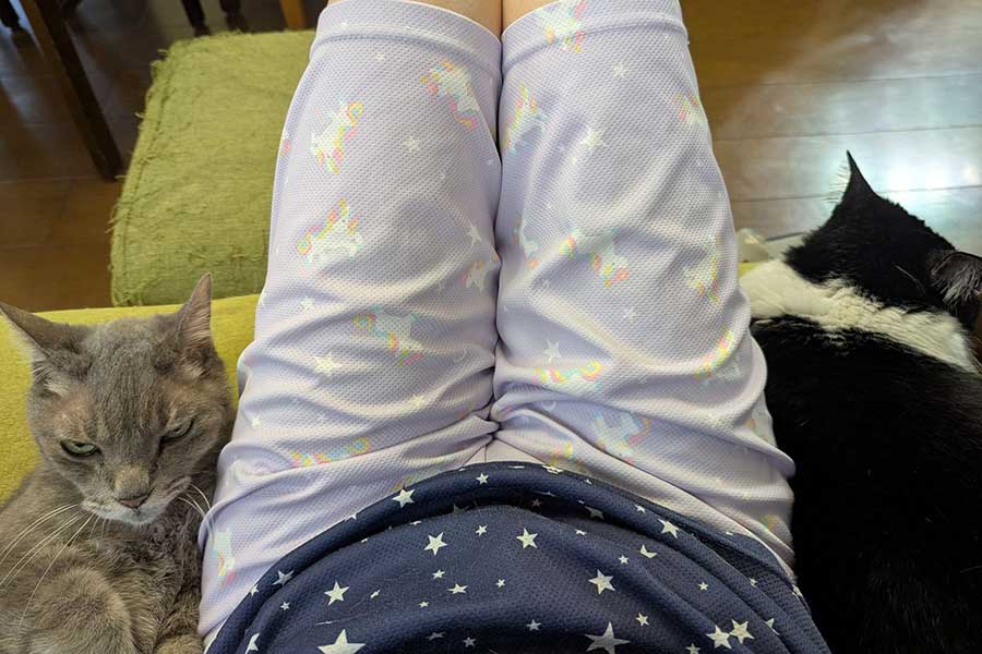 6匹の猫と暮らしているgomesuさん【写真提供：gomesu（gomesu_maru）さん】