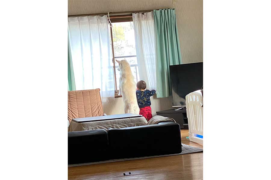親子のようなしろすけくんとお子さん【写真提供：(^ ^)（sdfs_0928）さん】