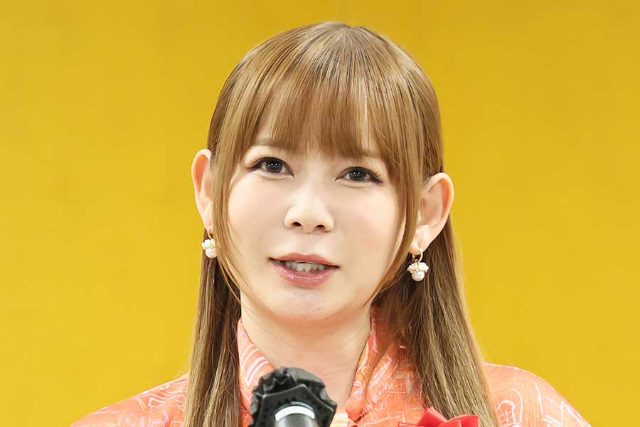 タレントの中川翔子さん【写真：産経新聞社】