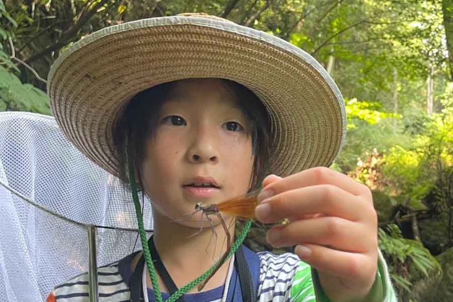 どこへ行くにも虫網が必需品の湊太くん【写真提供:虫ぐるいの母と虫ぐるい湊(@f2Yn9vJw3fvkUkm)さん】