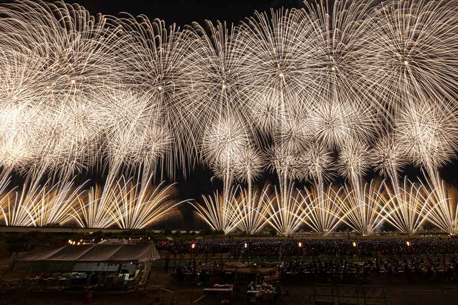 長岡まつり大花火大会の名物、復興祈願花火フェニックス【写真：写真AC】