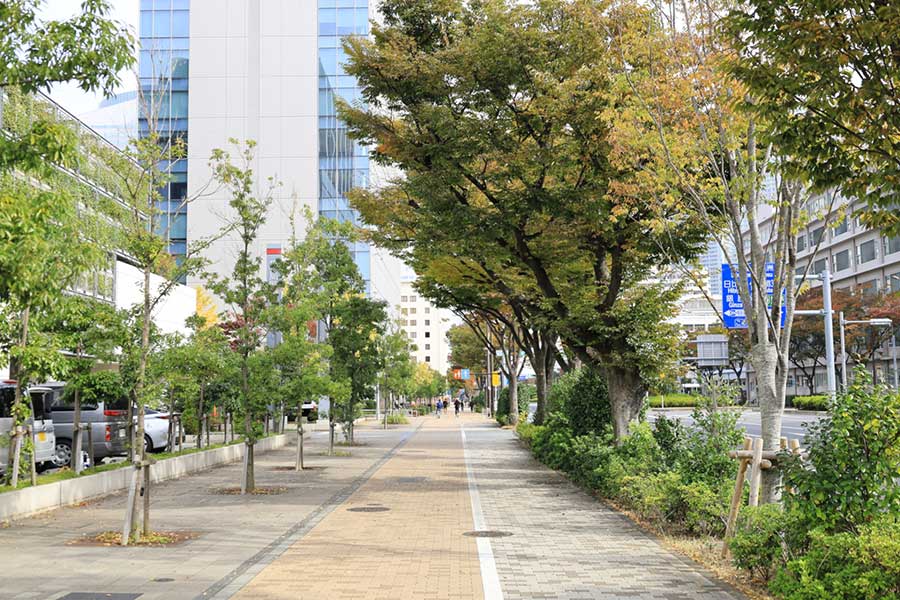 ゴミが落ちていない、日本の清潔な街並みに感動（写真はイメージ）【写真：写真AC】