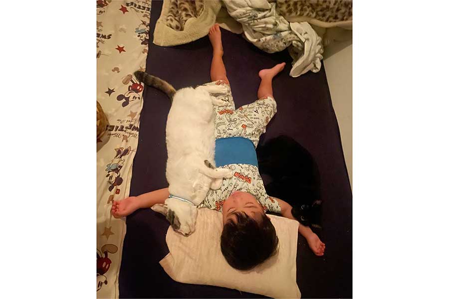 川の字で仲良く眠る（左から）ロイくん、息子さん、ロンくん【写真提供：ゴンゾウR4（@R453374510）さん】