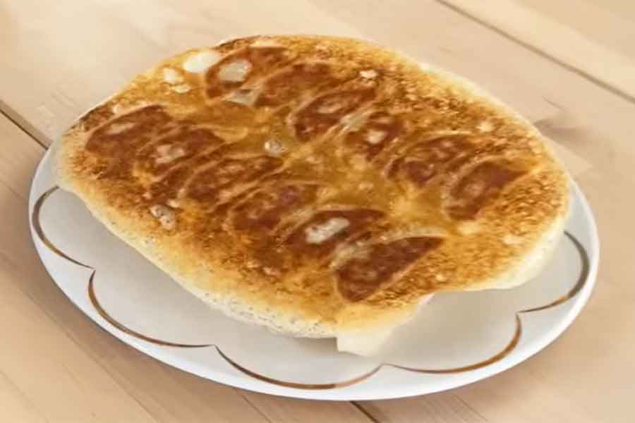 日本の冷凍羽根つき餃子に感動【出典：YouTube「Bebechan - 日本のフランス人」よりスクリーンショット】
