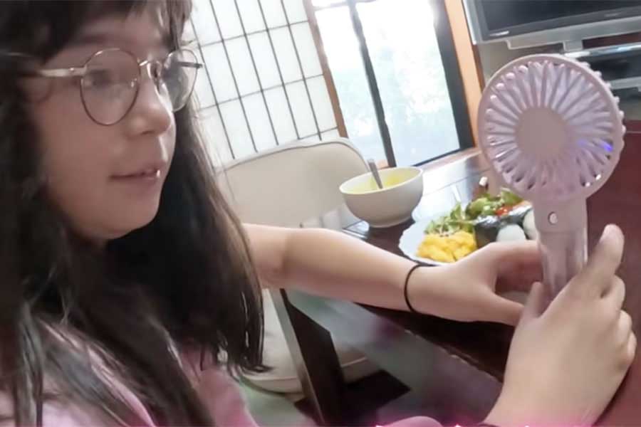 1000円で買ってもらったハンディファンに大満足【出典：YouTube「Macaron Chan 南フランス田舎娘」よりスクリーンショット】