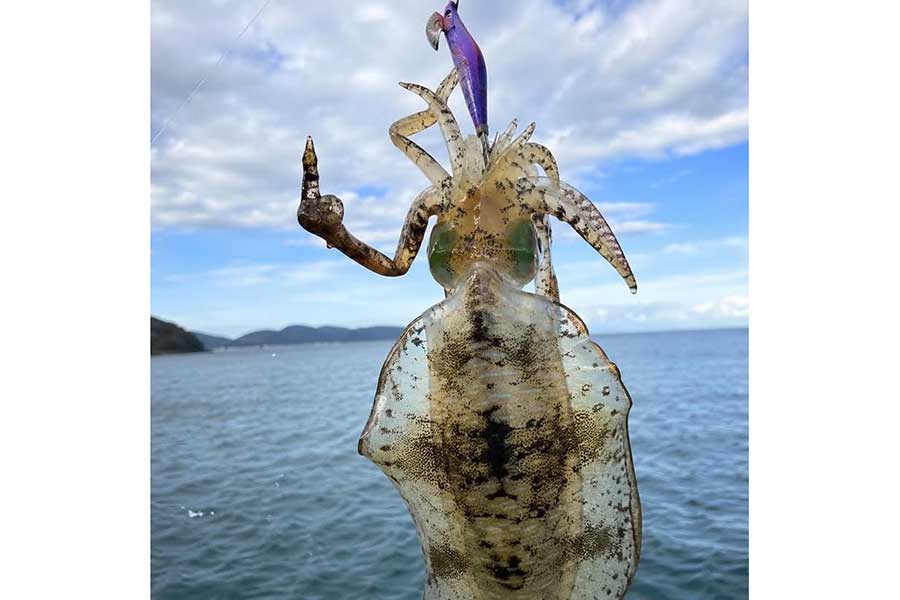 まさかのポーズが話題になった一枚【写真提供:永野ウメェー(@oic_happy)さん】
